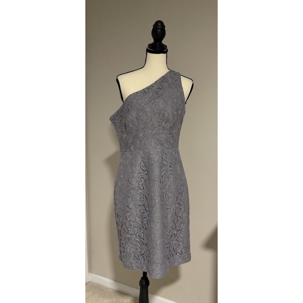 J.Crew Alexa Leavers Lace One Shoulder Dress Blue Gray Size 8